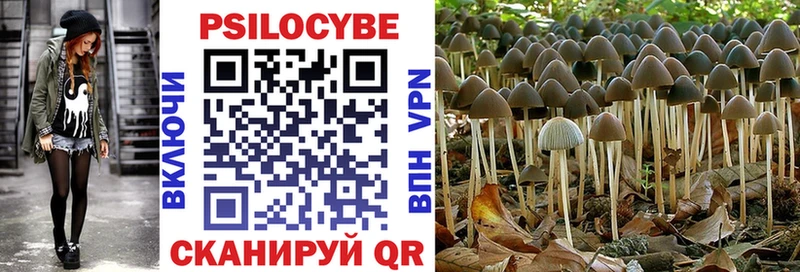 купить наркотики сайты  Пролетарск  Псилоцибиновые грибы Cubensis 